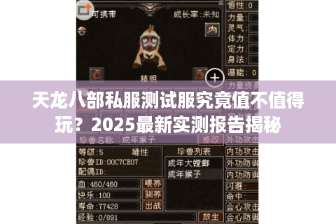 天龙八部私服测试服究竟值不值得玩？2025最新实测报告揭秘