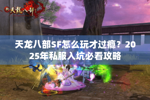 天龙八部SF怎么玩才过瘾？2025年私服入坑必看攻略