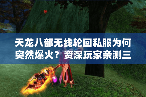 天龙八部无线轮回私服为何突然爆火？资深玩家亲测三年轮回不卡顿