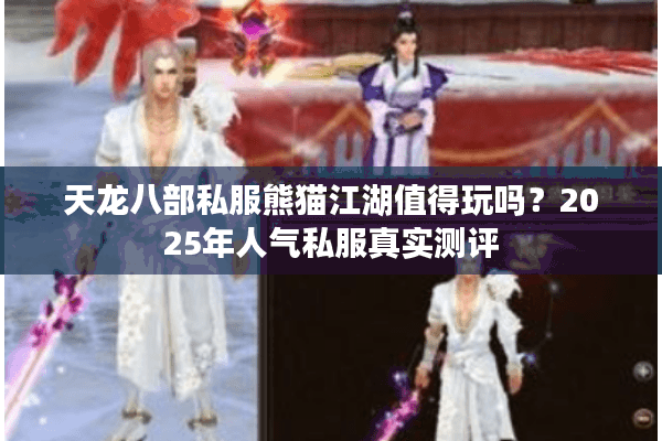 天龙八部私服熊猫江湖值得玩吗？2025年人气私服真实测评