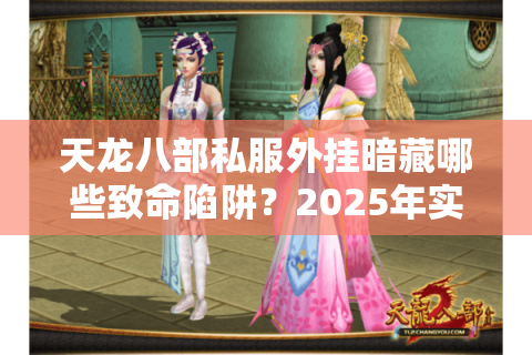 天龙八部私服外挂暗藏哪些致命陷阱？2025年实测数据给出生存指南