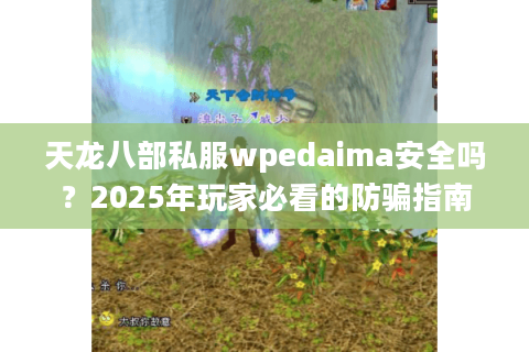 天龙八部私服wpedaima安全吗？2025年玩家必看的防骗指南