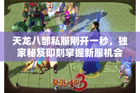 天龙八部私服刚开一秒，独家秘笈即刻掌握新服机会