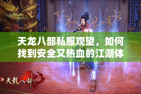 天龙八部私服观望，如何找到安全又热血的江湖体验？
