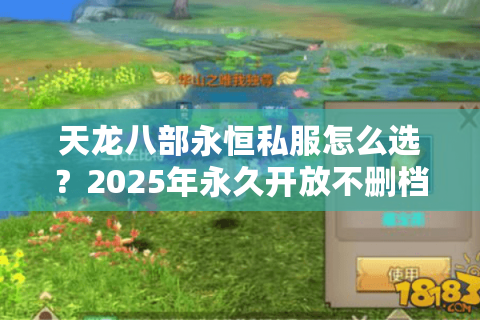 天龙八部永恒私服怎么选？2025年永久开放不删档攻略