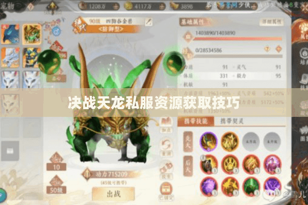 决战天龙私服资源获取技巧