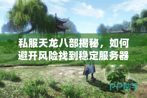 私服天龙八部揭秘，如何避开风险找到稳定服务器？