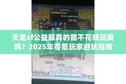 天龙sf公益服真的能不花钱玩爽吗？2025年零氪玩家避坑指南