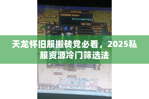 天龙怀旧服搬砖党必看，2025私服资源冷门筛选法