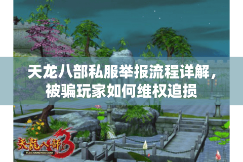 天龙八部私服举报流程详解，被骗玩家如何维权追损