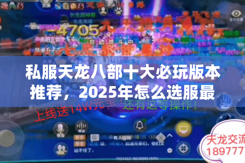 私服天龙八部十大必玩版本推荐，2025年怎么选服最保值？