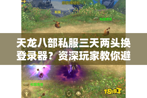 天龙八部私服三天两头换登录器？资深玩家教你避坑五步法