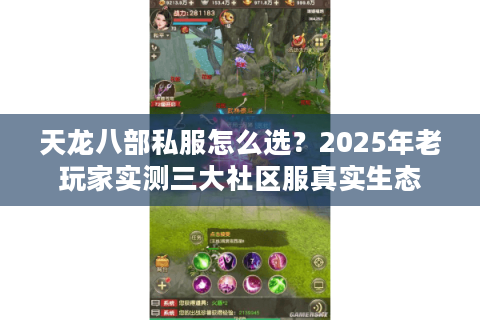 天龙八部私服怎么选？2025年老玩家实测三大社区服真实生态