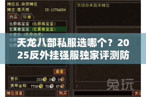 天龙八部私服选哪个？2025反外挂强服独家评测防坑指南
