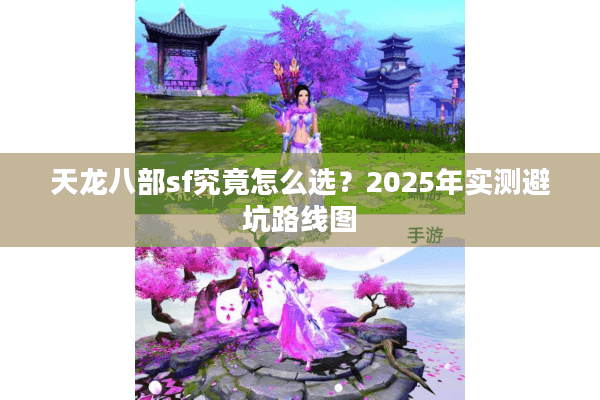 天龙八部sf究竟怎么选？2025年实测避坑路线图