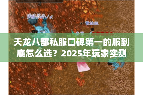 天龙八部私服口碑第一的服到底怎么选？2025年玩家实测避坑手册