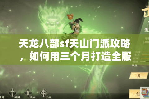 天龙八部sf天山门派攻略，如何用三个月打造全服前10刺客？