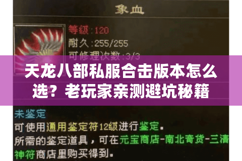 天龙八部私服合击版本怎么选?老玩家亲测避坑秘籍 天龙八部私服合击版本怎么选?老玩家亲测避坑秘籍