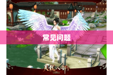 常见问题