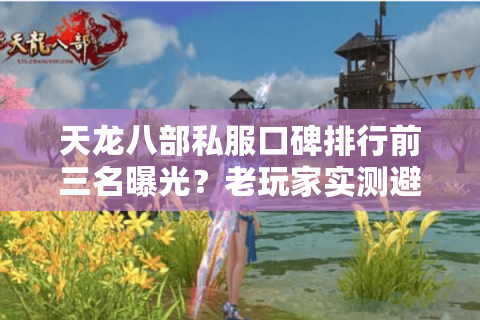 天龙八部私服口碑排行前三名曝光？老玩家实测避坑五步法