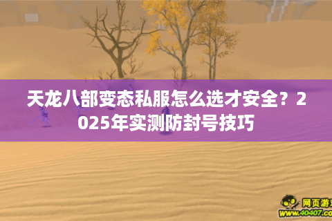 天龙八部变态私服怎么选才安全？2025年实测防封号技巧