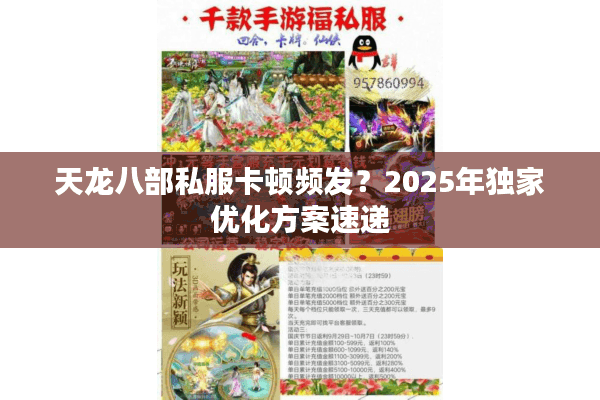 天龙八部私服卡顿频发？2025年独家优化方案速递