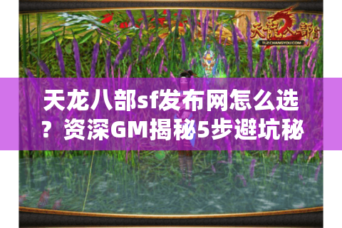 天龙八部sf发布网怎么选？资深GM揭秘5步避坑秘籍