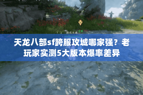 天龙八部sf跨服攻城哪家强？老玩家实测5大版本爆率差异