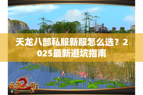 天龙八部私服新服怎么选？2025最新避坑指南