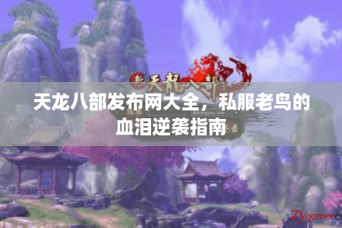 天龙八部发布网大全，私服老鸟的血泪逆袭指南