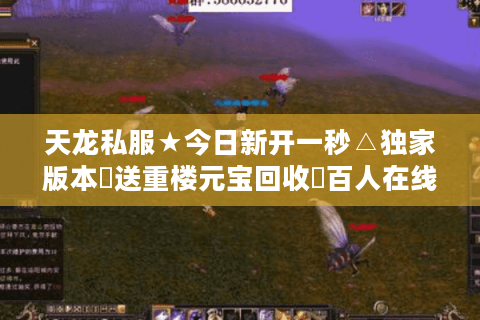 天龙私服★今日新开一秒△独家版本◁送重楼元宝回收▷百人在线