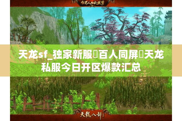 天龙sf_独家新服▷百人同屏◁天龙私服今日开区爆款汇总