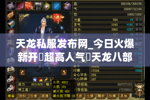 天龙私服发布网_今日火爆新开▷超高人气◁天龙八部公益服开服列表大全