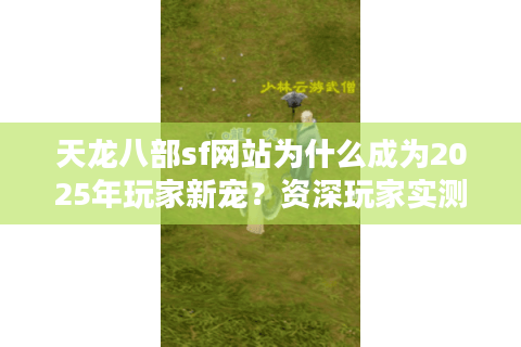 天龙八部sf网站为什么成为2025年玩家新宠？资深玩家实测避坑指南