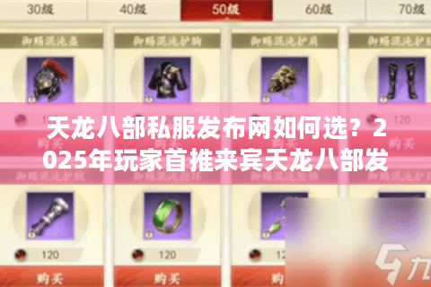 天龙八部私服发布网如何选？2025年玩家首推来宾天龙八部发布站