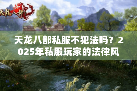 天龙八部私服不犯法吗？2025年私服玩家的法律风险全解析