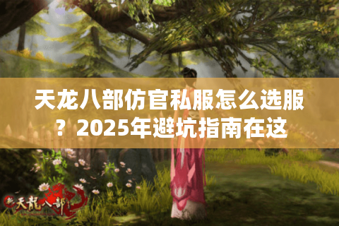 天龙八部仿官私服怎么选服？2025年避坑指南在这