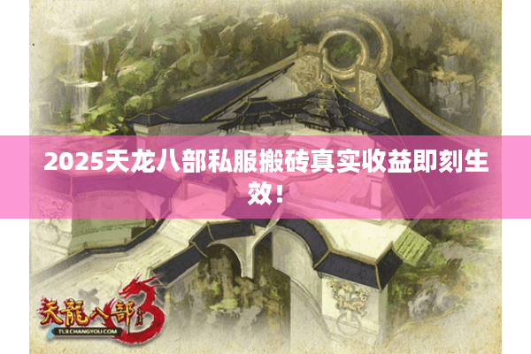2025天龙八部私服搬砖真实收益即刻生效！
