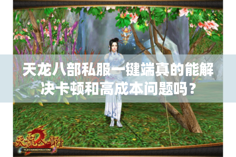 天龙八部私服一键端真的能解决卡顿和高成本问题吗？