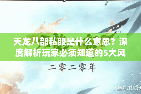 天龙八部私服是什么意思？深度解析玩家必须知道的5大风险与替代方案
