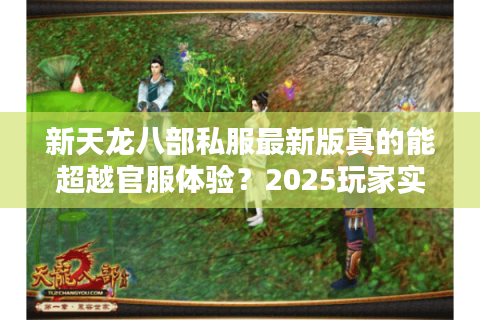 新天龙八部私服最新版真的能超越官服体验？2025玩家实测数据曝光