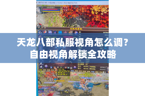 天龙八部私服视角怎么调？自由视角解锁全攻略