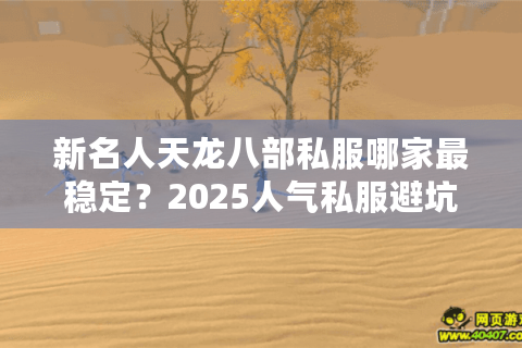 新名人天龙八部私服哪家最稳定？2025人气私服避坑指南