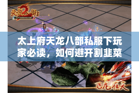 太上府天龙八部私服下玩家必读，如何避开割韭菜服找到真福利？