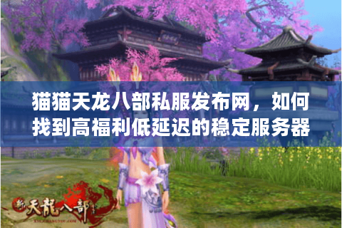 猫猫天龙八部私服发布网，如何找到高福利低延迟的稳定服务器？