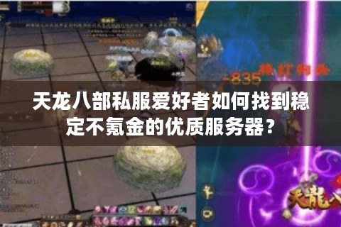 天龙八部私服爱好者如何找到稳定不氪金的优质服务器？