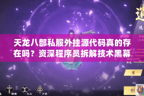 天龙八部私服外挂源代码真的存在吗？资深程序员拆解技术黑幕