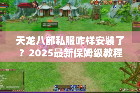 天龙八部私服咋样安装了？2025最新保姆级教程避坑指南
