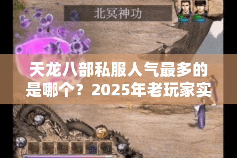 天龙八部私服人气最多的是哪个？2025年老玩家实测推荐