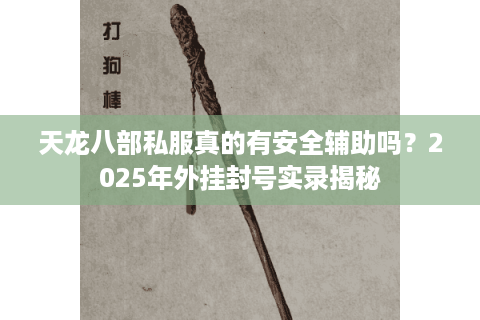 天龙八部私服真的有安全辅助吗？2025年外挂封号实录揭秘